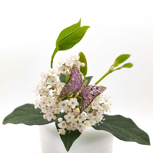 Μοναδικό δαχτυλίδι με πεταλούδα